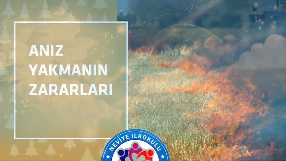Anız Yakmanın Zararları